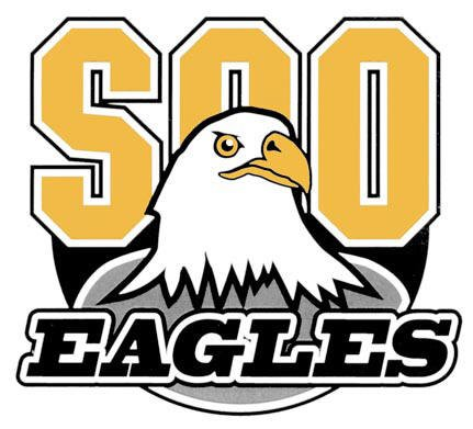 Soo Eagles 2015-Pres Primary Logo iron on transfers for T-shirts